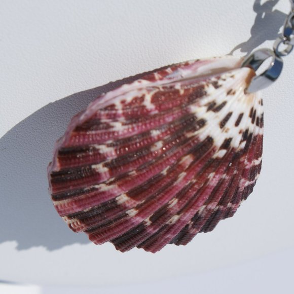 Red Sea Glass set with Pecten Sea Shell - Picture 5 of 6